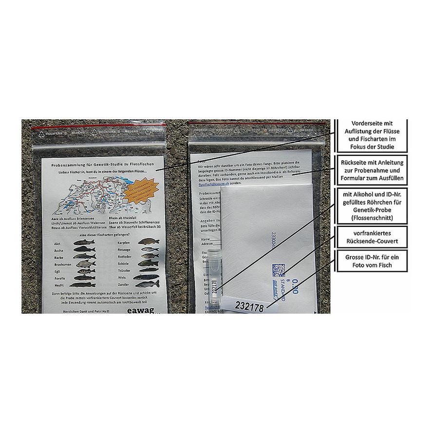 Flussfisch Sammelkits - Produktbild 2
