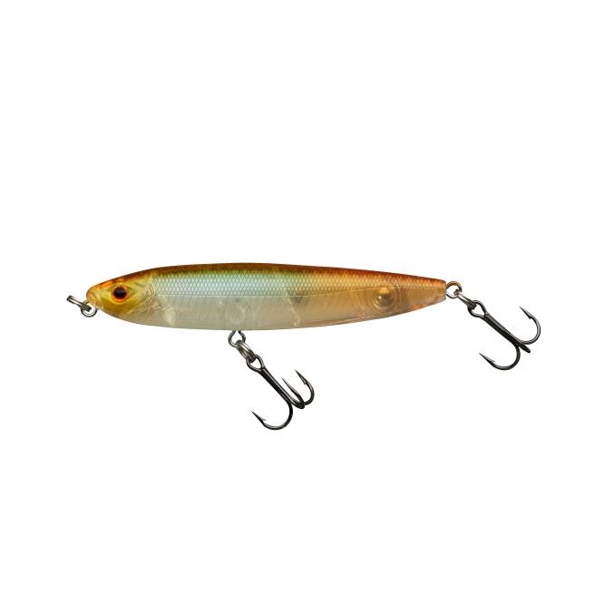 Star Minnow