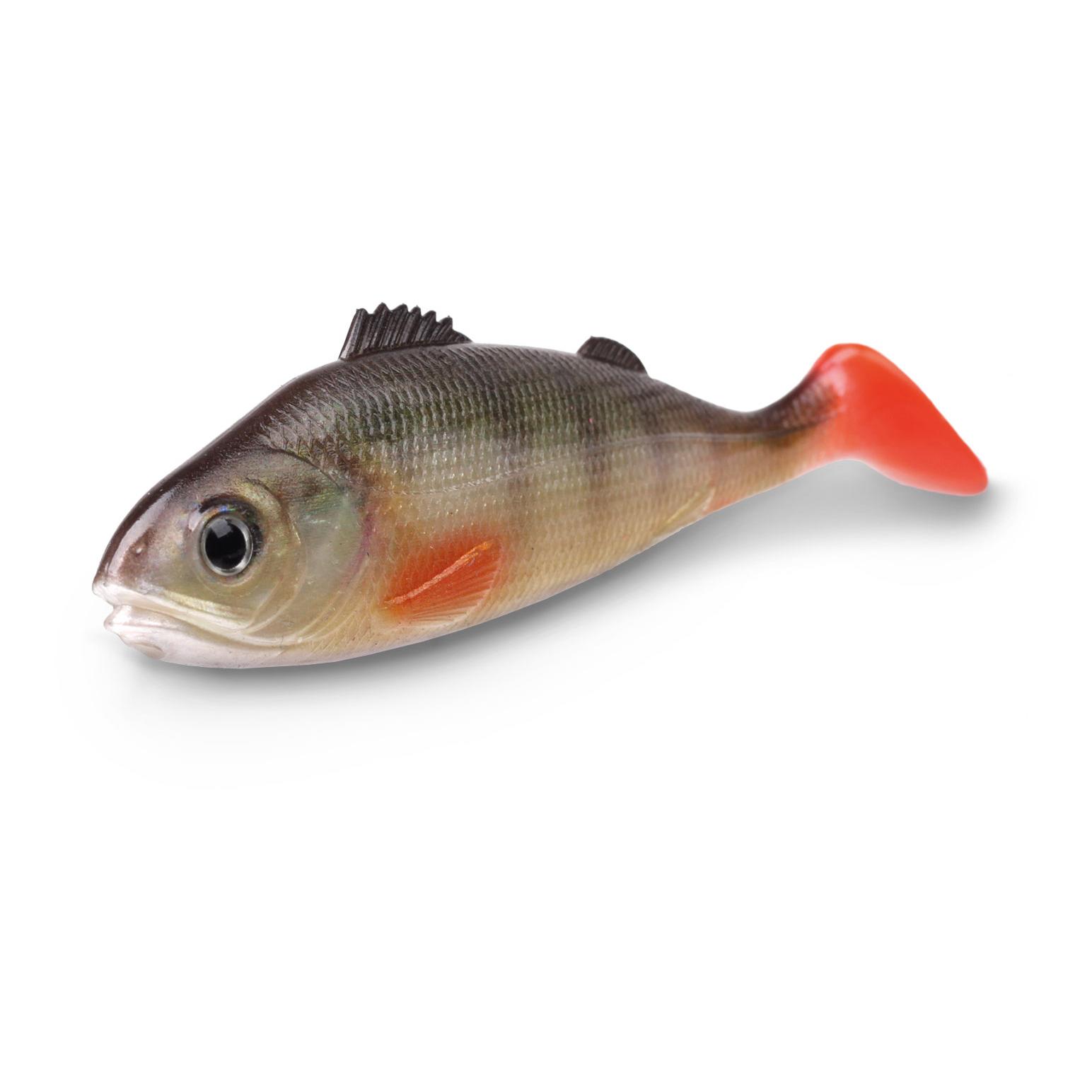 Perch