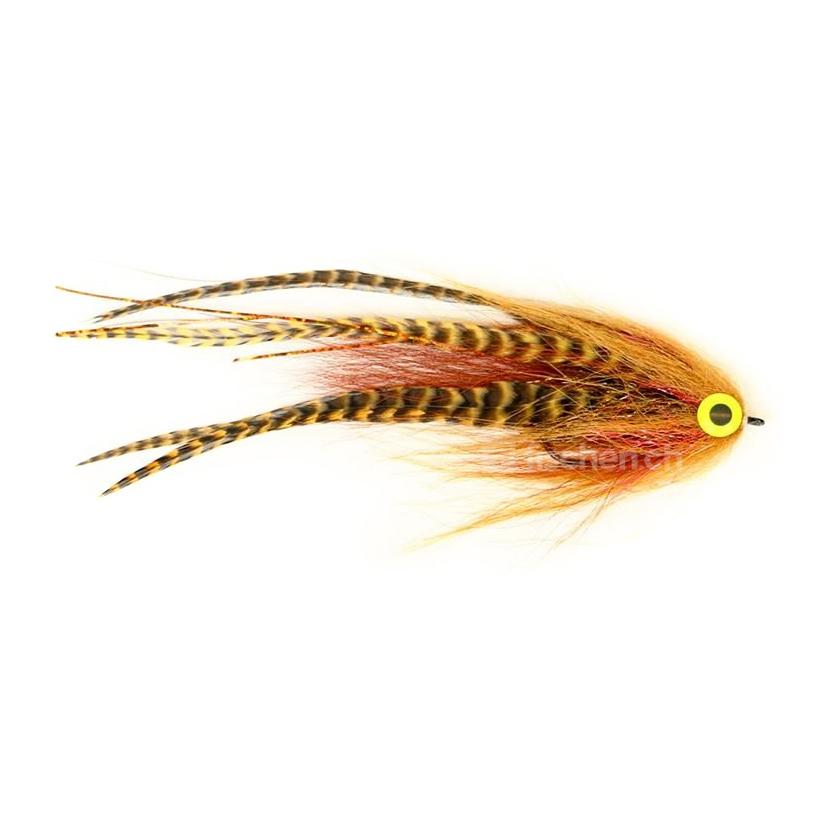 Eelpout
