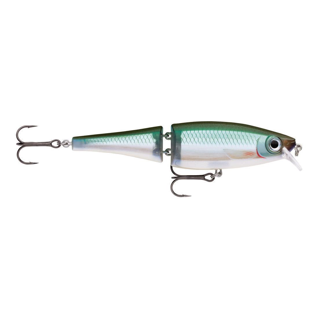 Blue Back Herring