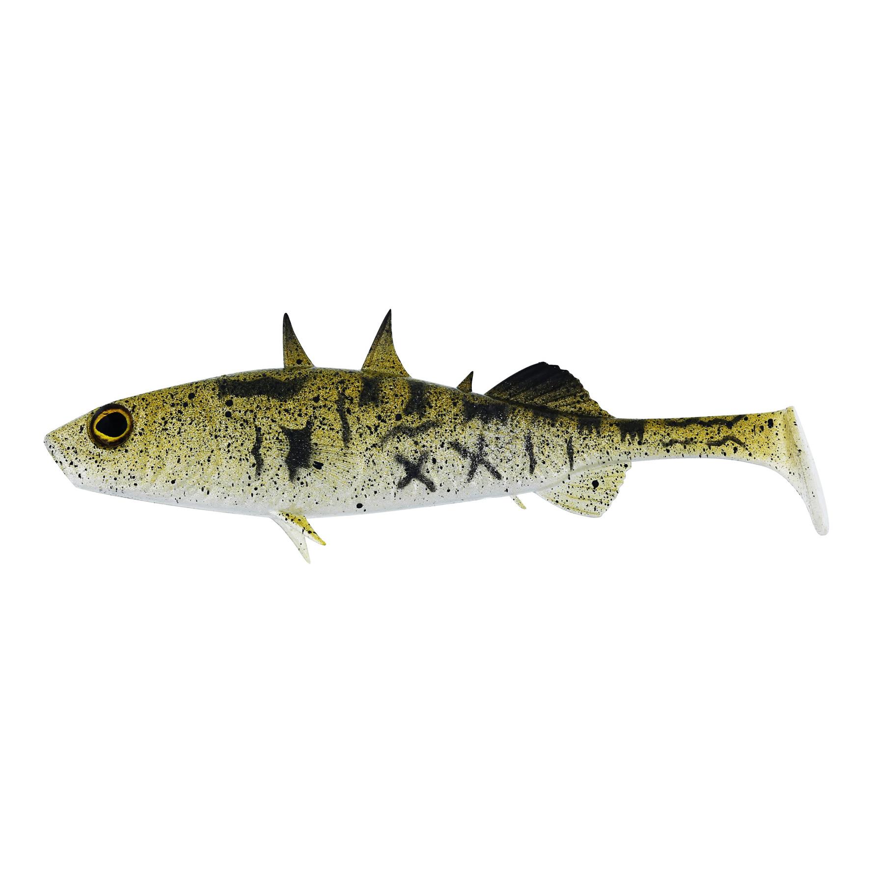 Stickleback