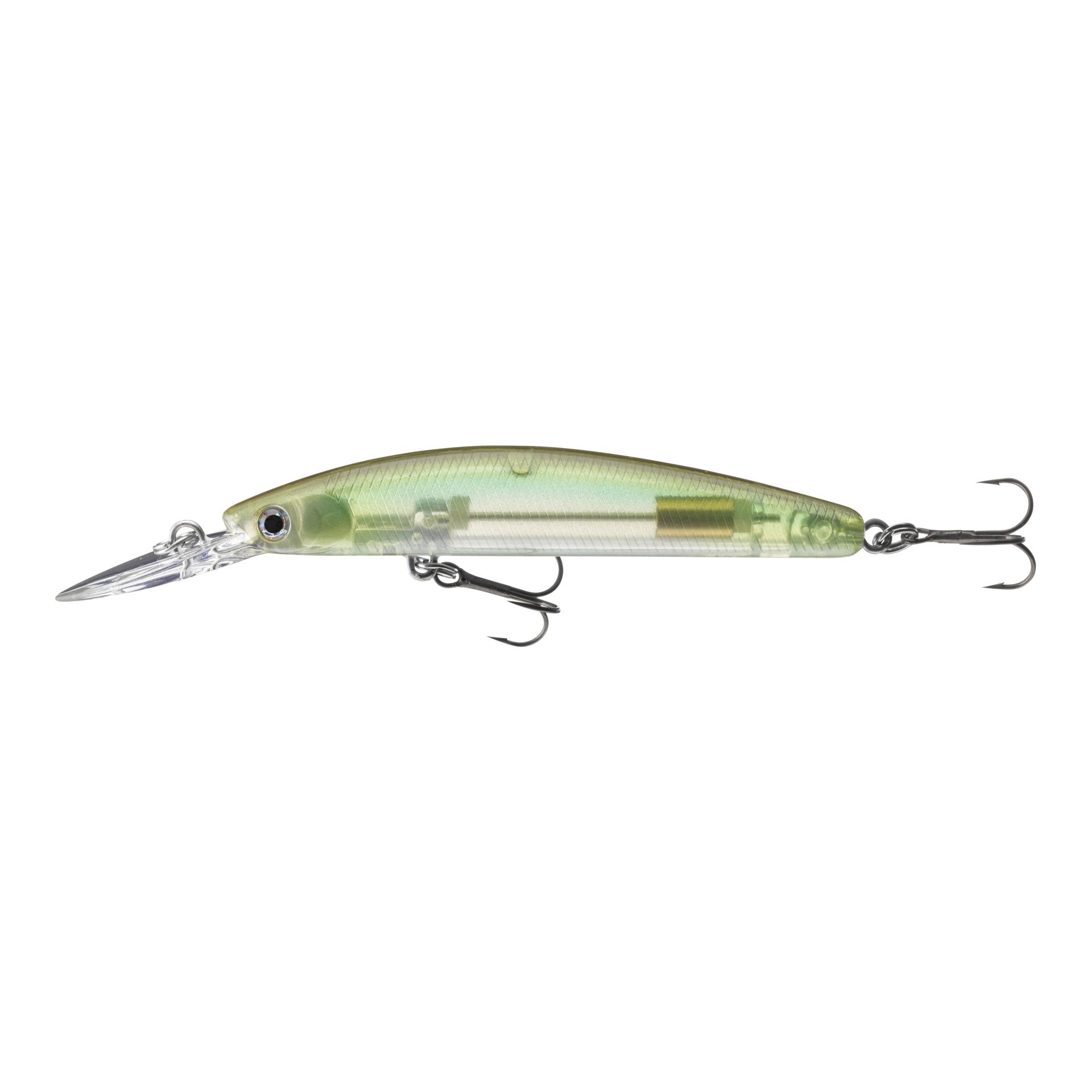 See Trough Shad