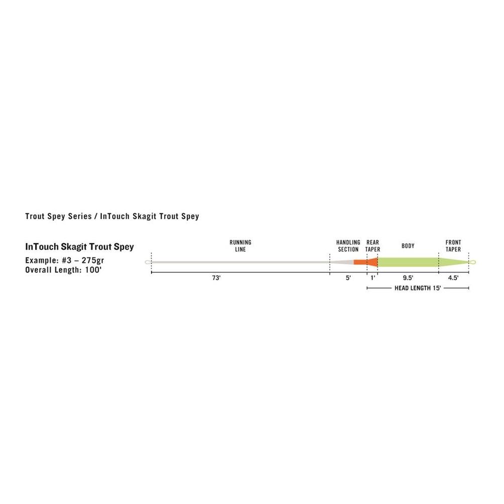 InTouch Skagit Trout Spey - Fliegenschnur - Produktbild 3
