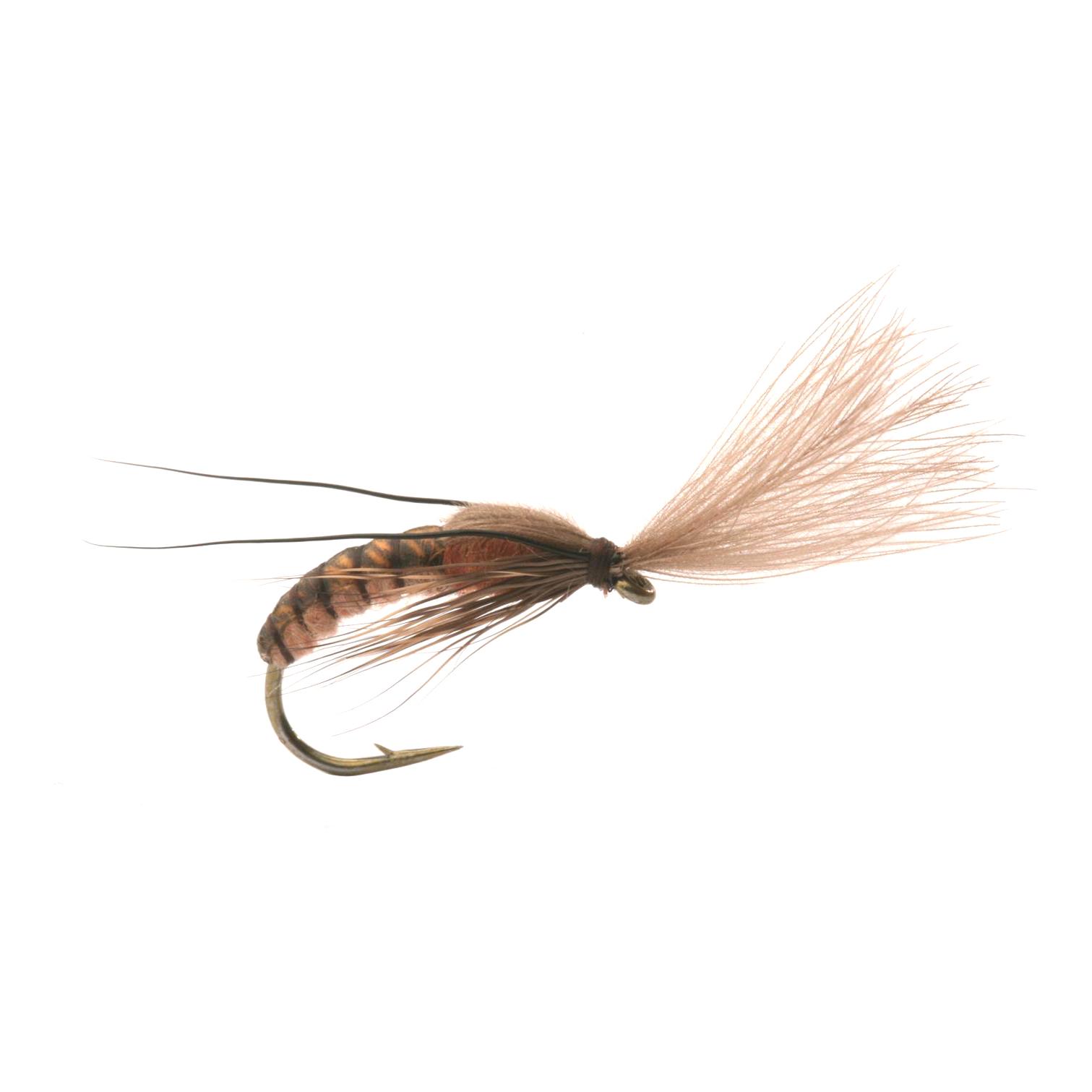Guideline Super Emerging Caddis Cinnamon - Mouche sèche