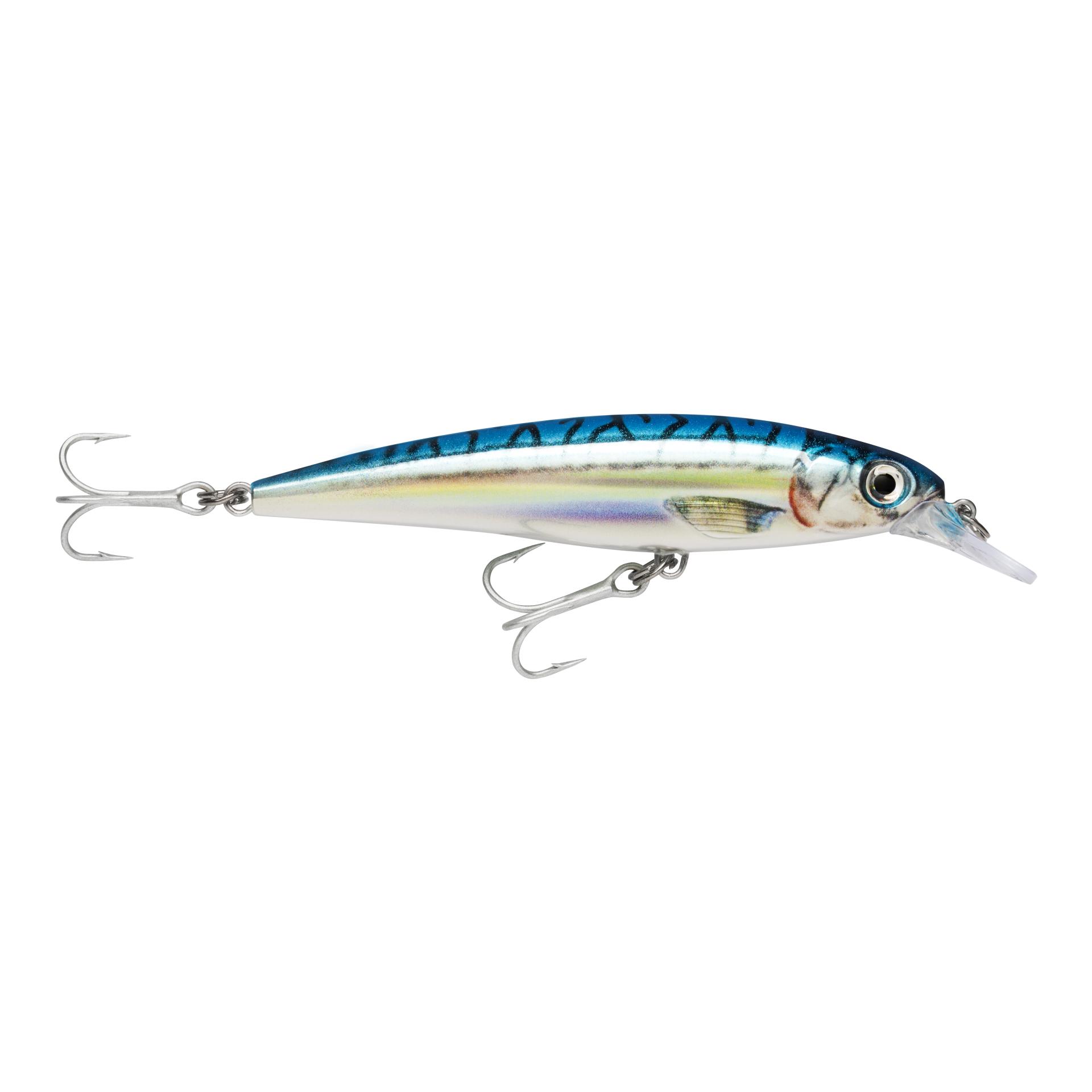 Blue Mackerel