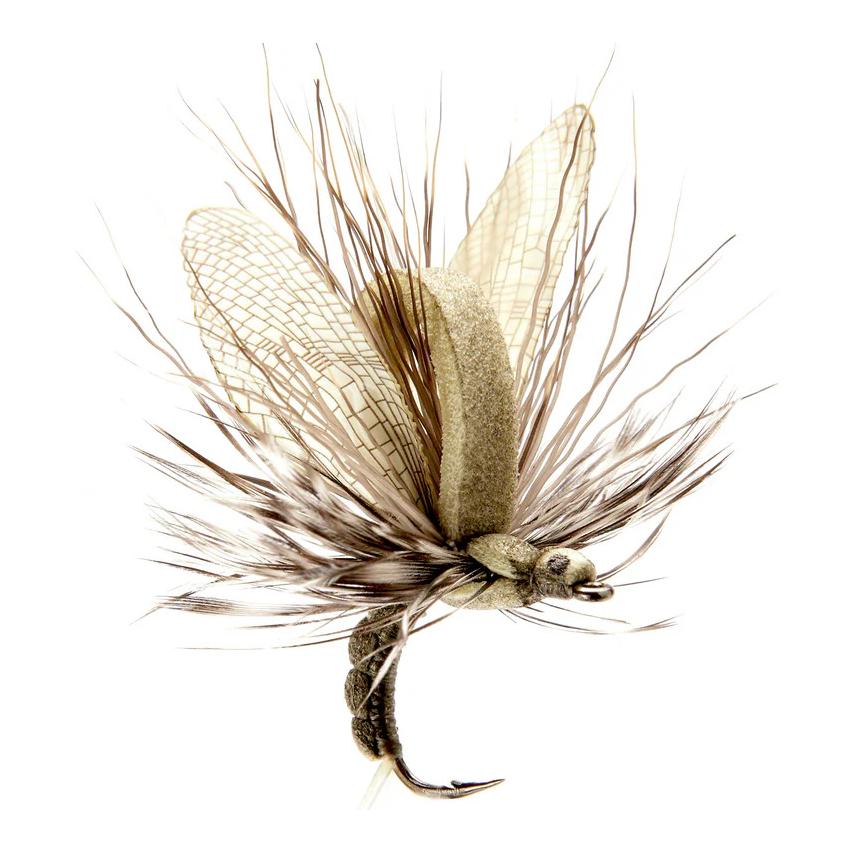 J:son Émergent de mouche de mai