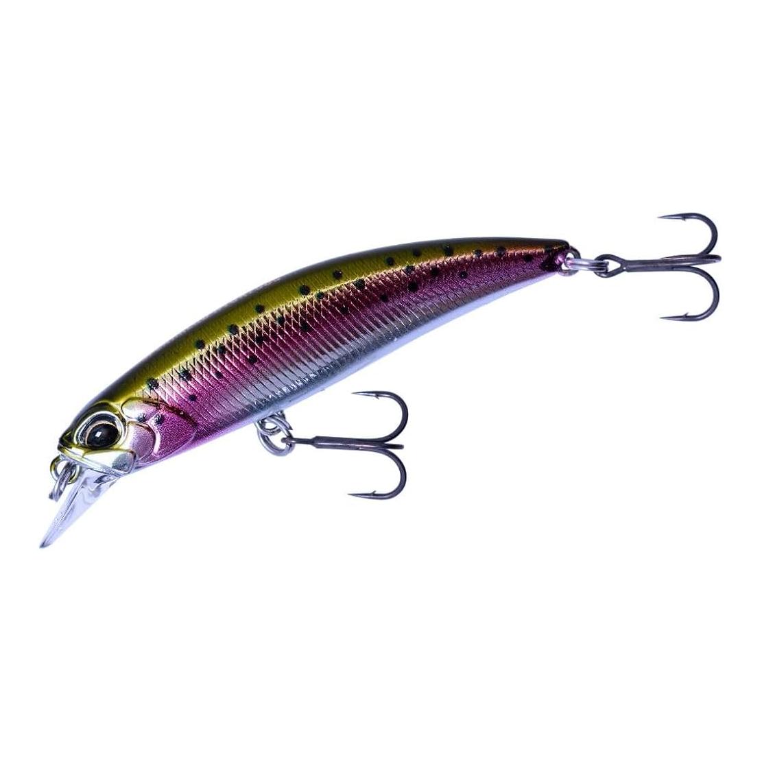 Rainbow Trout