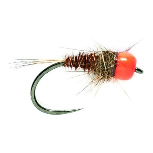 Hot Head Pheasant Tail Tungsten o.W. - Nymphe
