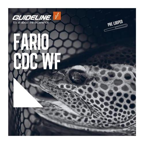 Fario CDC WF/F - Fliegenschnur - Produktbild 2