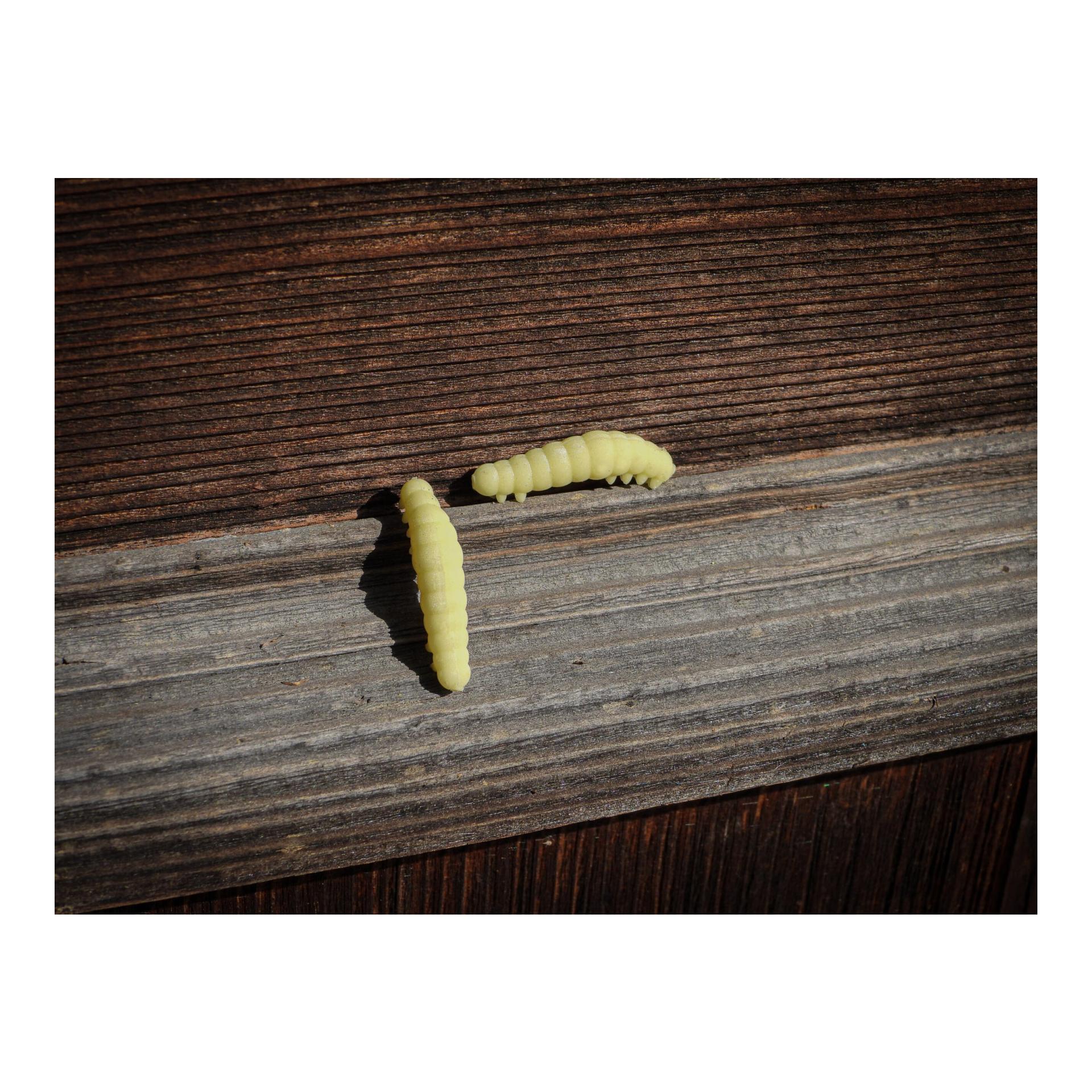 Greenfin BOOGIE WORM 3 cm - Proteinköder - Produktbild 4
