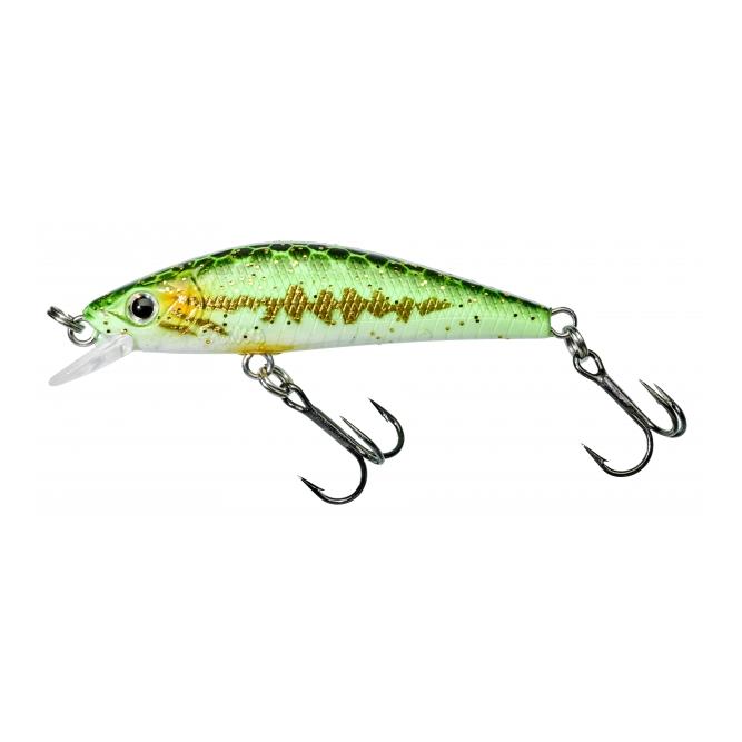 Gamera 54 SHW Gold Vairon – Poisson nageur