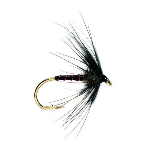 Black Magic - Nassfliege